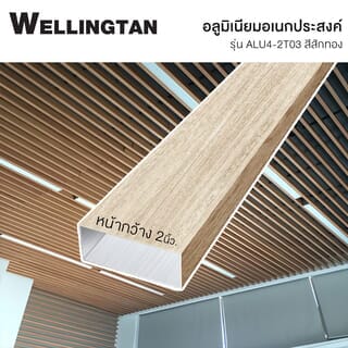 Gallery item 2