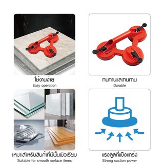 Gallery item 6