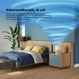 Gallery item 4