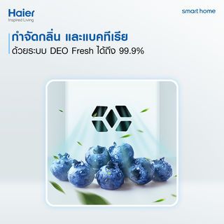 Gallery item 7