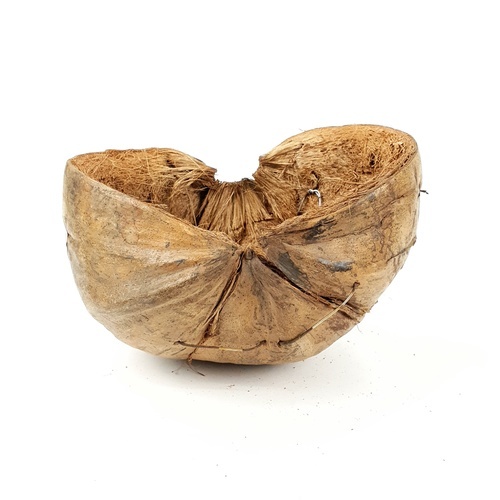 Gallery item 2