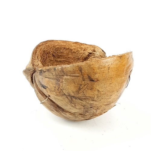 Gallery item 3