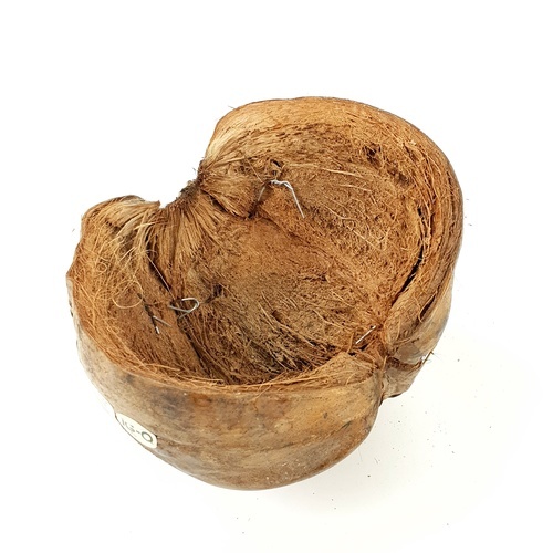 Gallery item 9