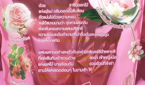 Gallery item 5