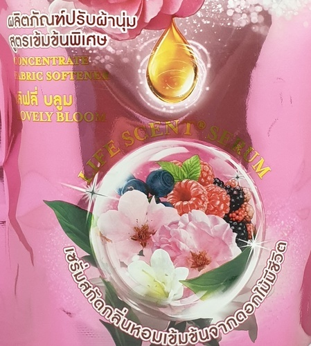 Gallery item 6