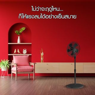 Gallery item 3