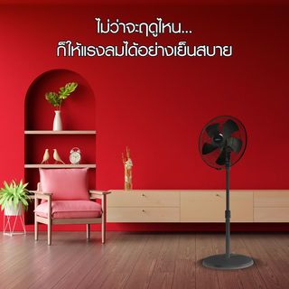 Gallery item 3