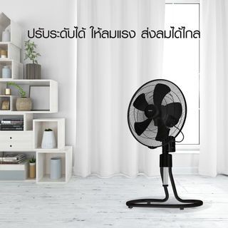 Gallery item 3