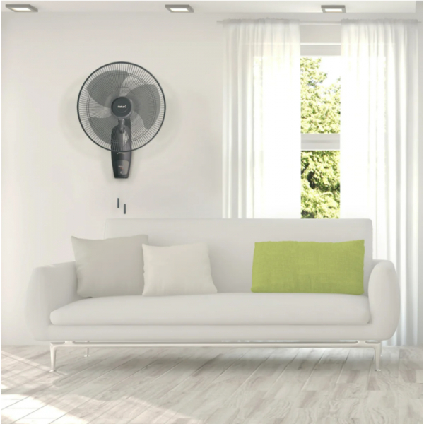 Gallery item 7