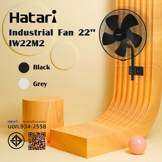 Gallery item 2
