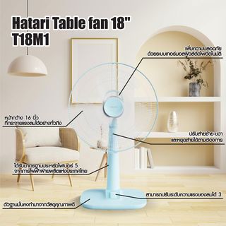 Gallery item 3