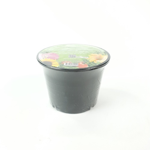 Gallery item 2