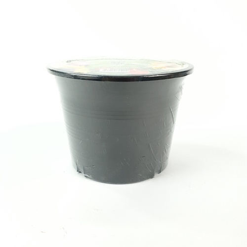 Gallery item 3