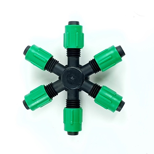 Gallery item 7