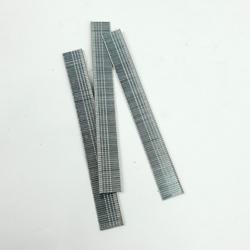 Gallery item 5