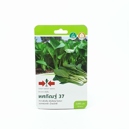 Gallery item 1