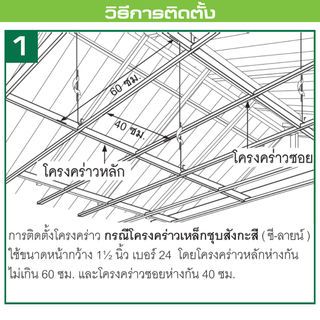 Gallery item 9