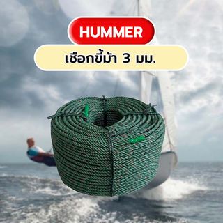 Gallery item 2