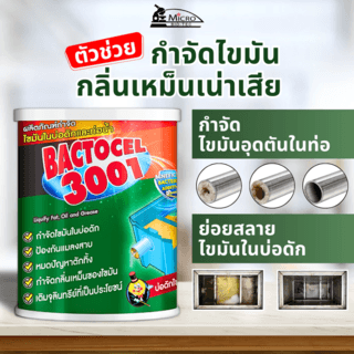 Gallery item 8