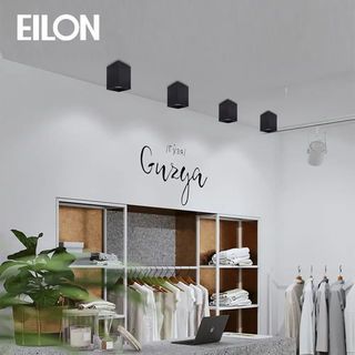Gallery item 2