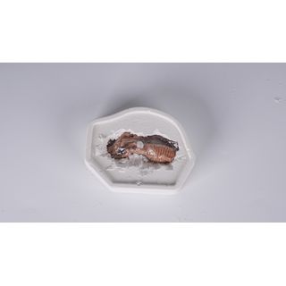 Gallery item 9