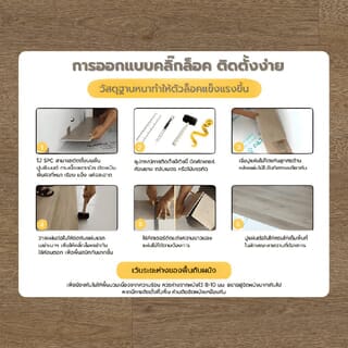 Gallery item 10