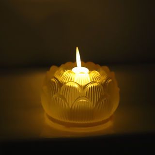 Gallery item 2