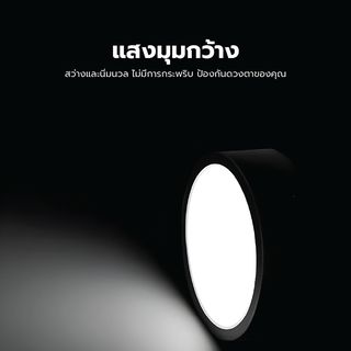 Gallery item 3