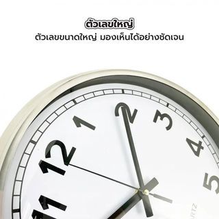 Gallery item 6