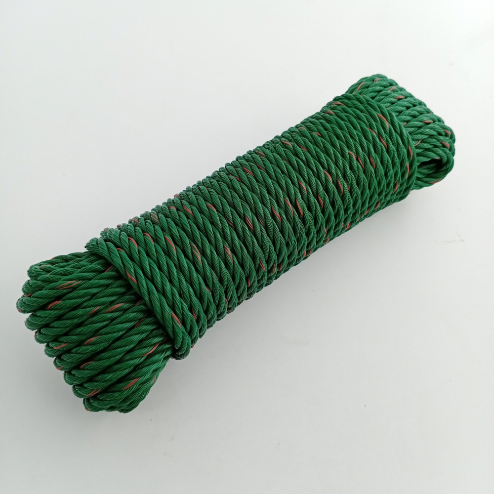 Gallery item 7