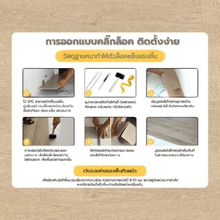 Gallery item 10