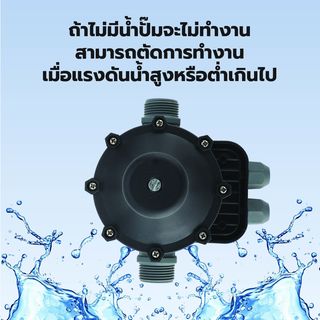 Gallery item 3