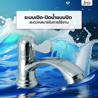 Gallery item 4