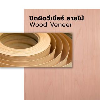 Gallery item 2