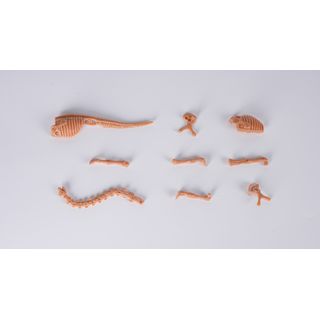 Gallery item 6