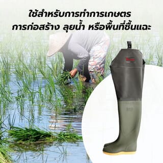 Gallery item 3
