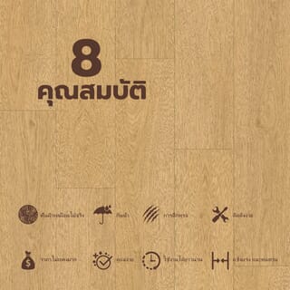 Gallery item 7