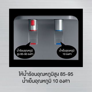 Gallery item 5