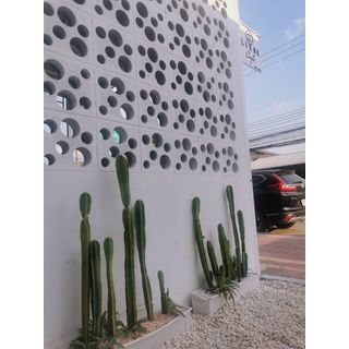 Gallery item 6
