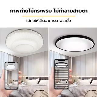 Gallery item 8