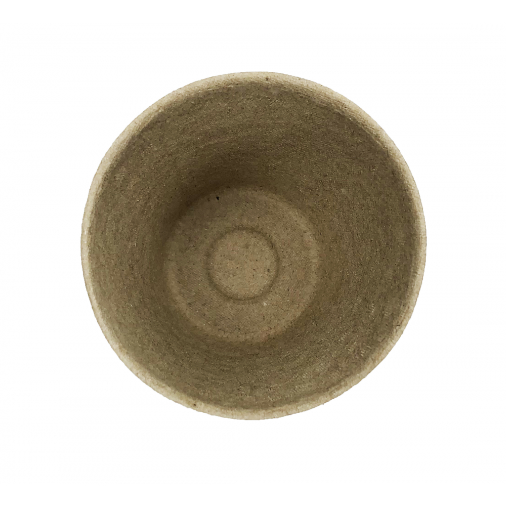 Gallery item 3