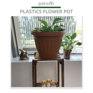 Gallery item 6