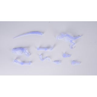 Gallery item 7