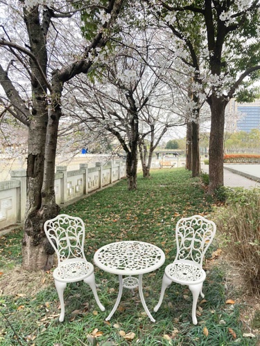 Gallery item 7