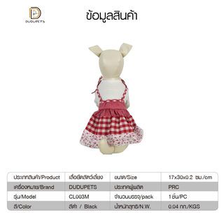 Gallery item 4