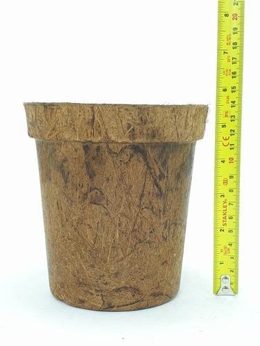 Gallery item 8