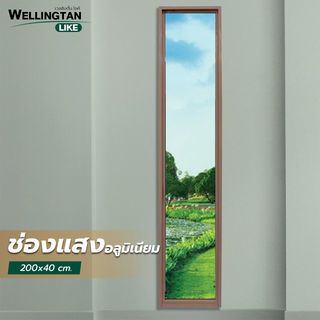 Gallery item 2