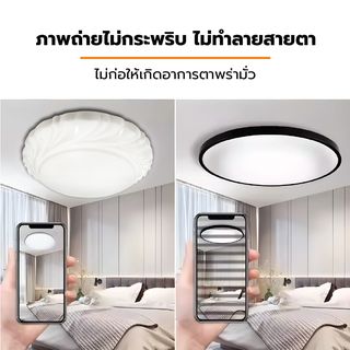 Gallery item 8