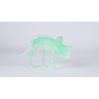 Gallery item 4