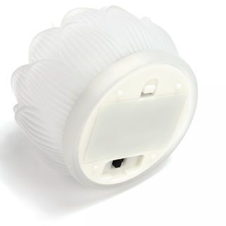 Gallery item 9